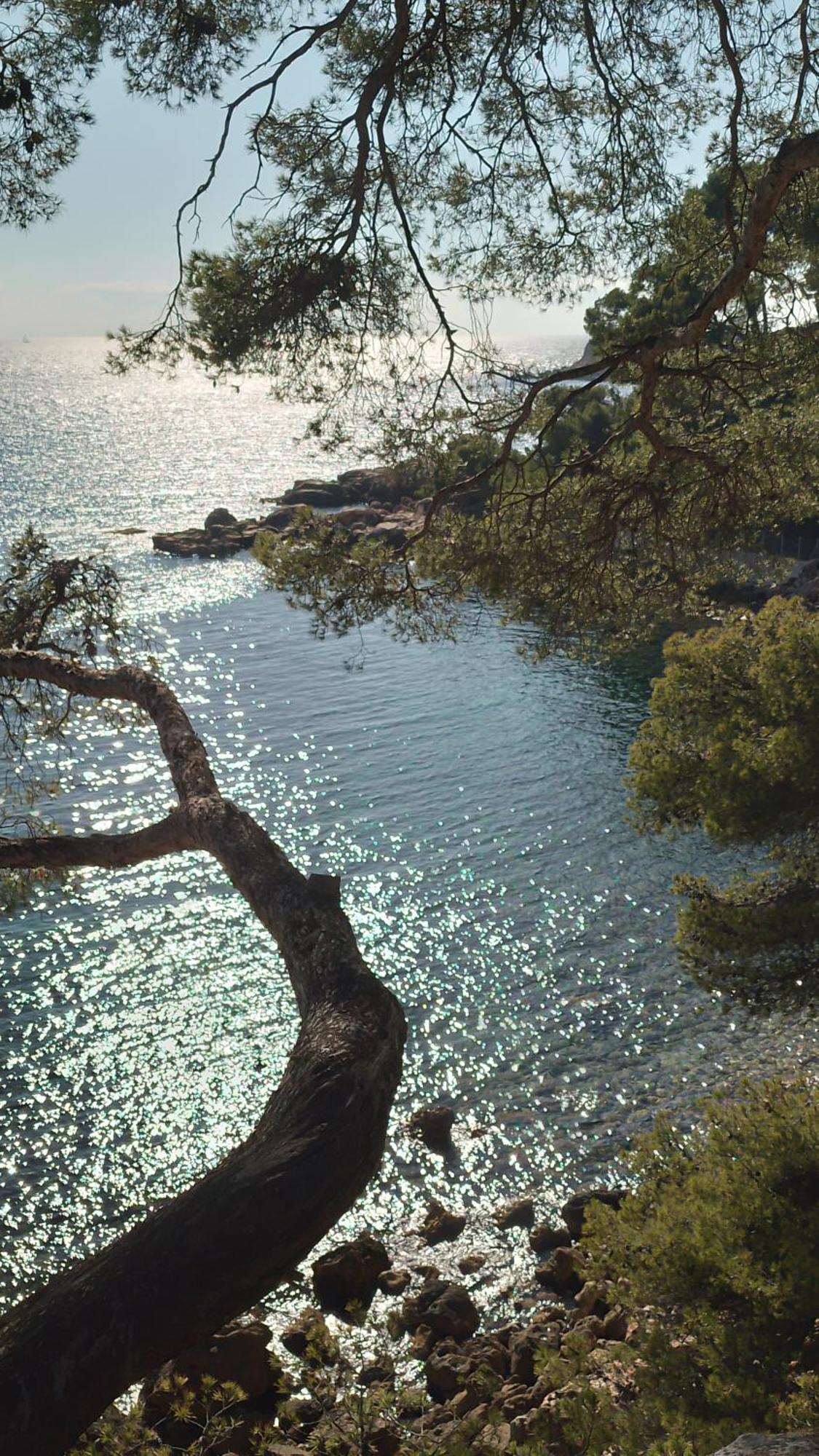 Les Pieds Tanqués - Bed&Breakfast-Spa Saint-Cyr-sur-Mer Esterno foto