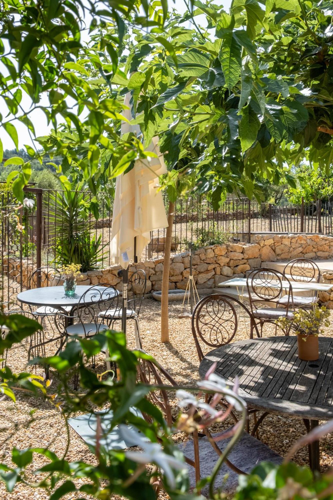 Les Pieds Tanqués - Bed&Breakfast-Spa Saint-Cyr-sur-Mer Esterno foto